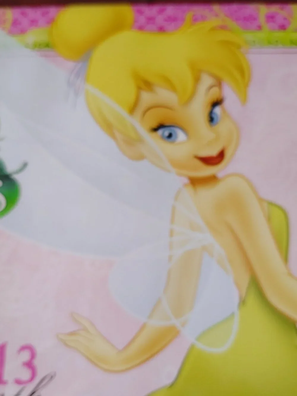 Disney Fairies Tinkerbell 2013 12 Month Calendar